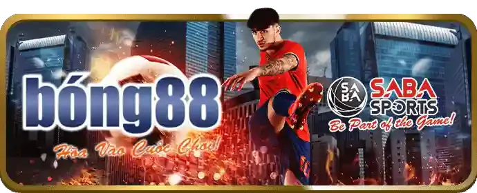 Quá trình mở rộng và phát triển thương hiệu nha cai